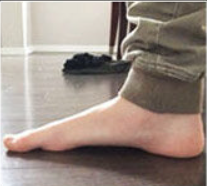 Screenshot 2024-07-24 053617 fp insoles concierge service